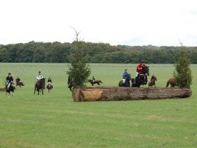 Reiter beim Springen über ein Hindernis im Zuge unserer jährlichen Schleppjagd